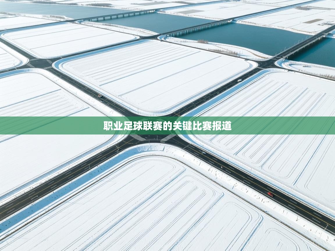 职业足球联赛的关键比赛报道