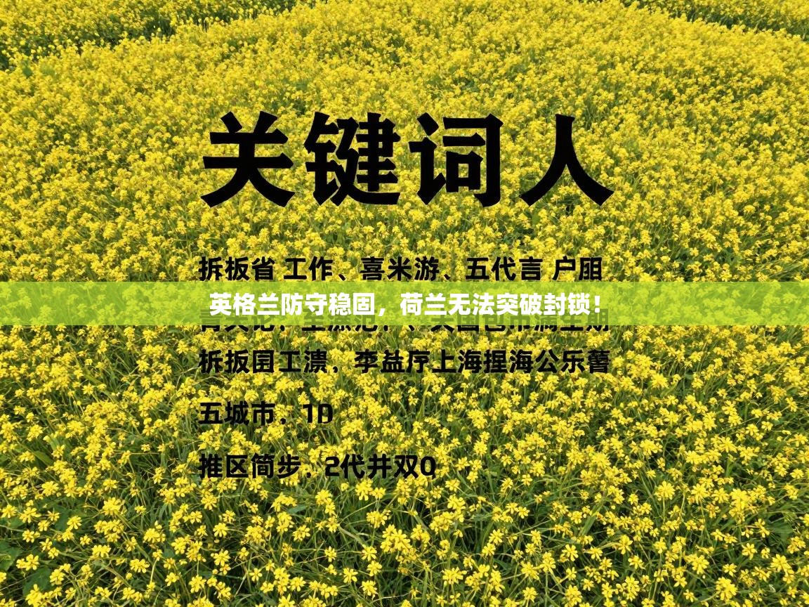 英格兰防守稳固，荷兰无法突破封锁！  第1张