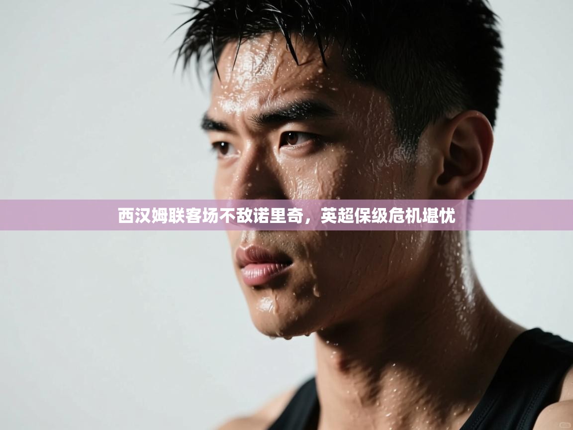 西汉姆联客场不敌诺里奇，英超保级危机堪忧  第1张