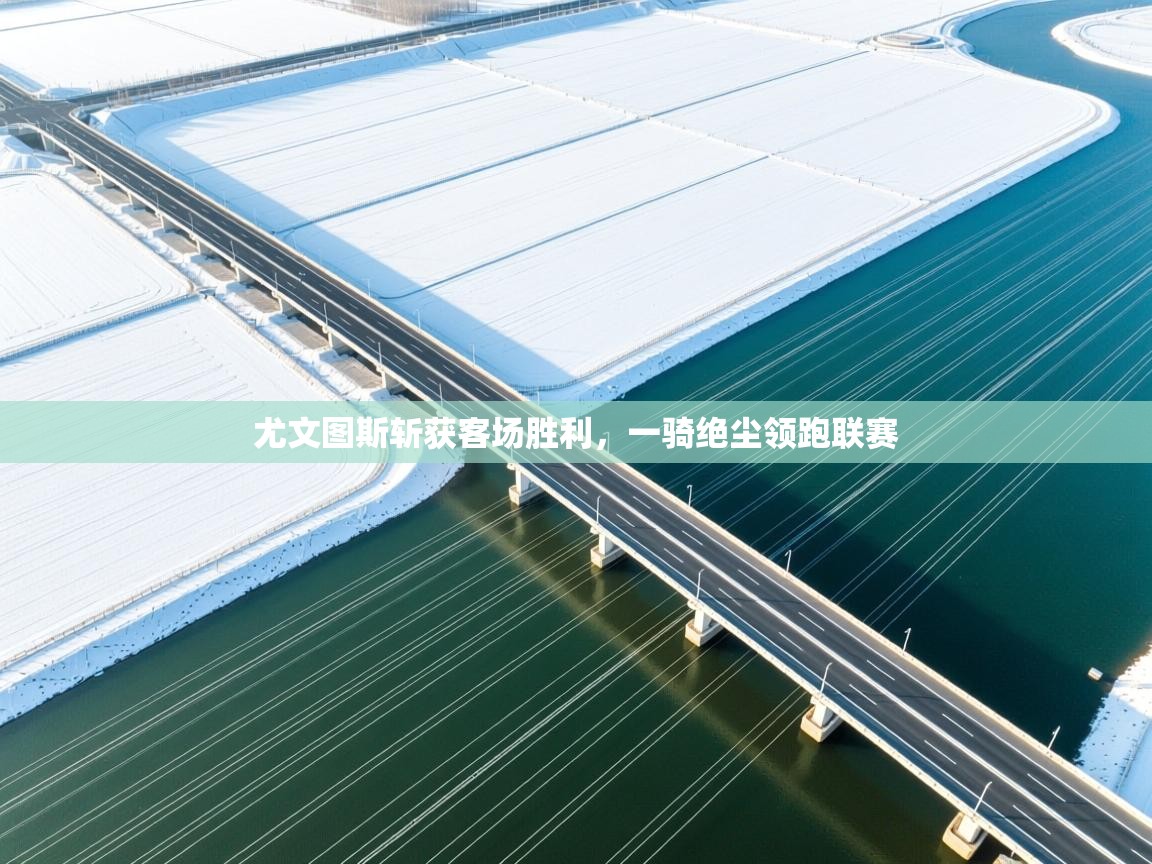 尤文图斯斩获客场胜利，一骑绝尘领跑联赛  第2张