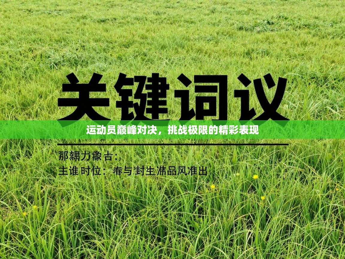 运动员巅峰对决，挑战极限的精彩表现