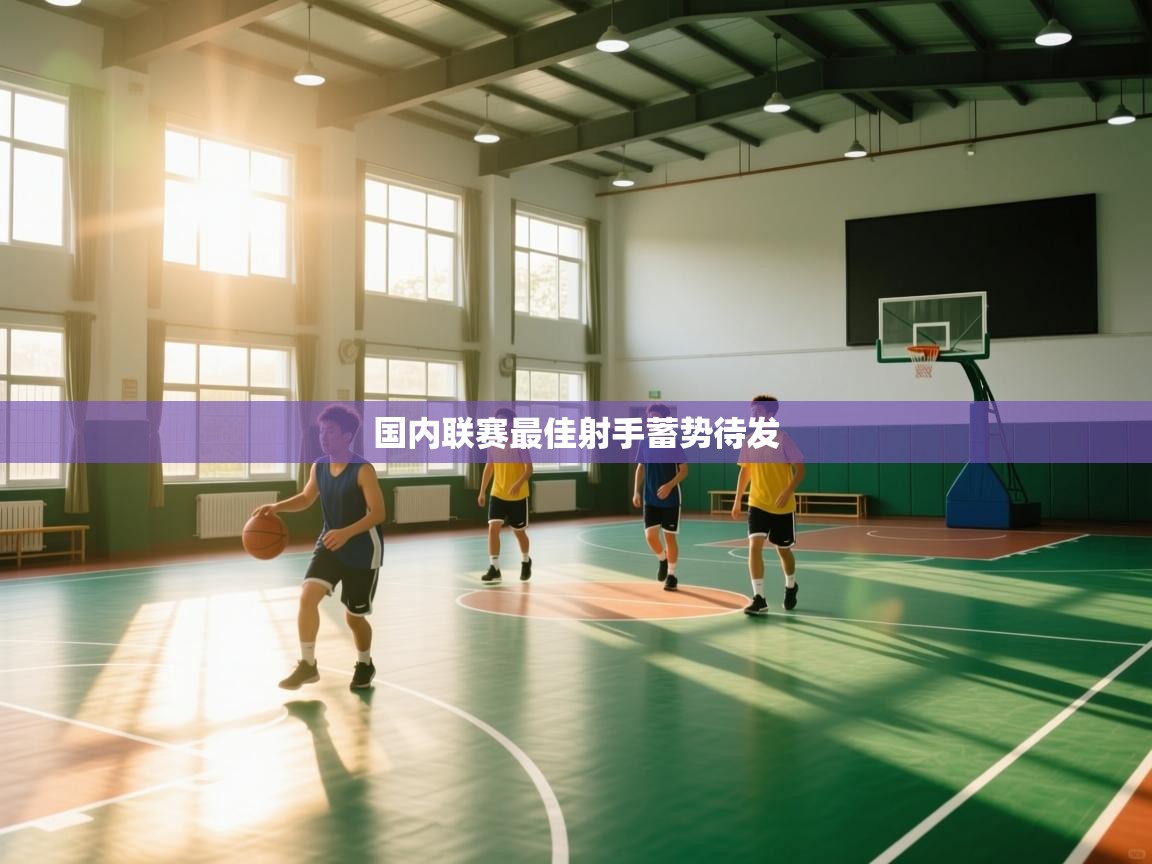 国内联赛最佳射手蓄势待发