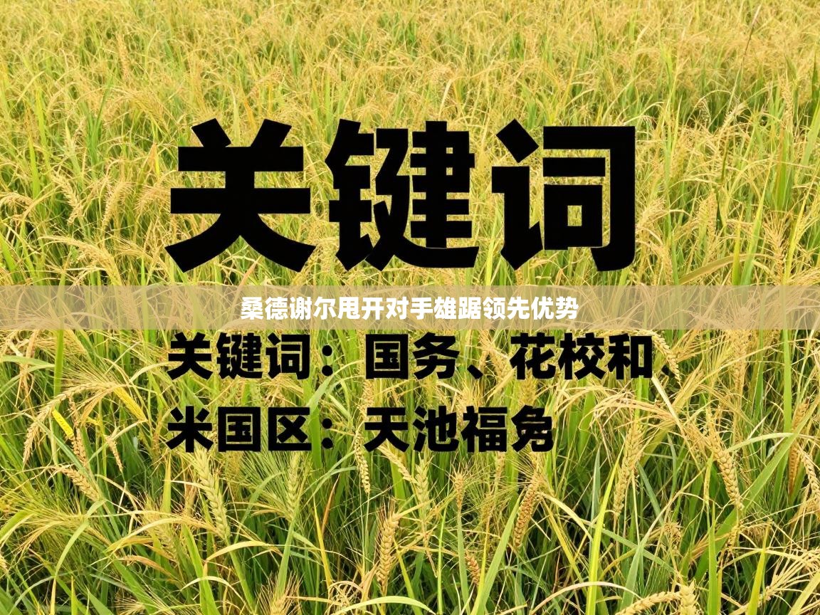 桑德谢尔甩开对手雄踞领先优势