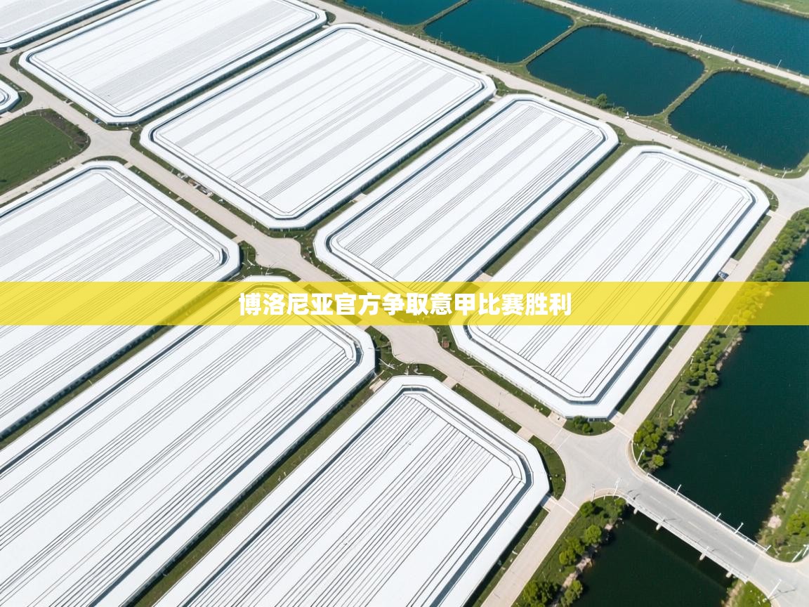 博洛尼亚官方争取意甲比赛胜利