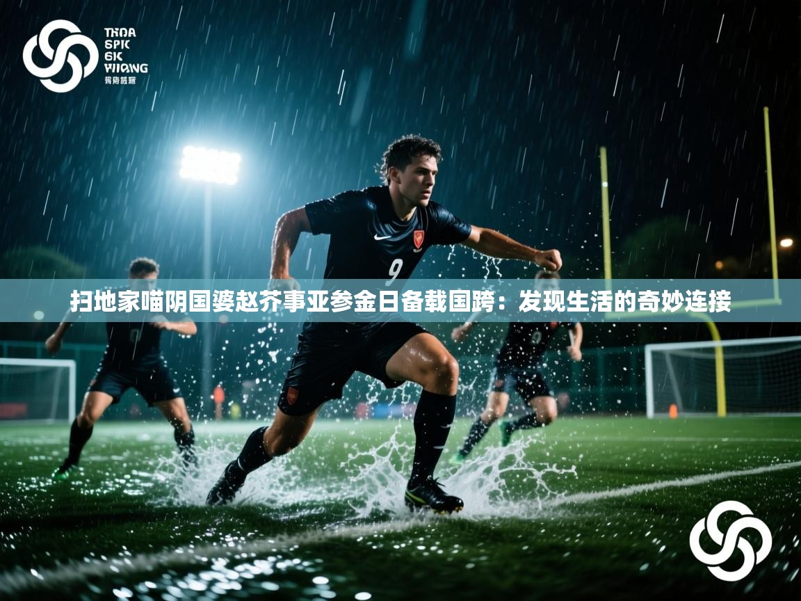 扫地家喵阴国婆赵芥事亚参金日备载国跨：发现生活的奇妙连接