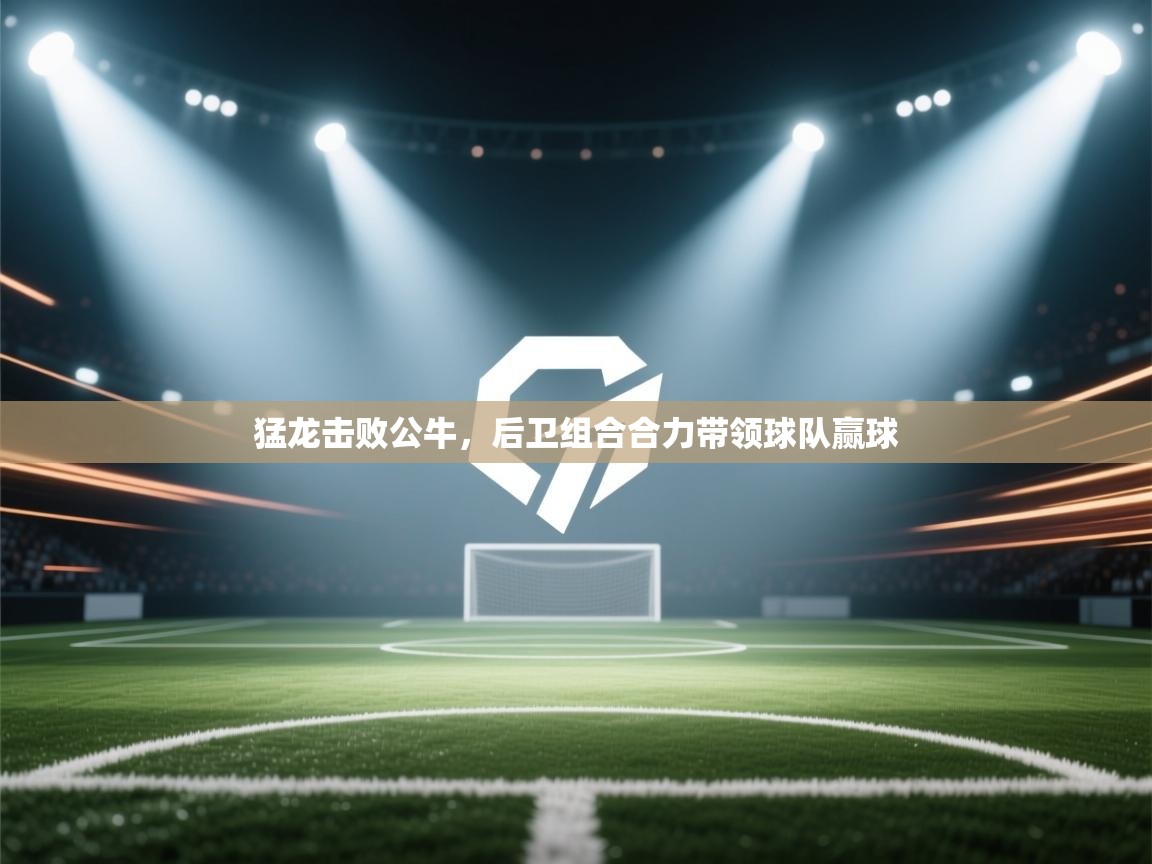 猛龙击败公牛，后卫组合合力带领球队赢球