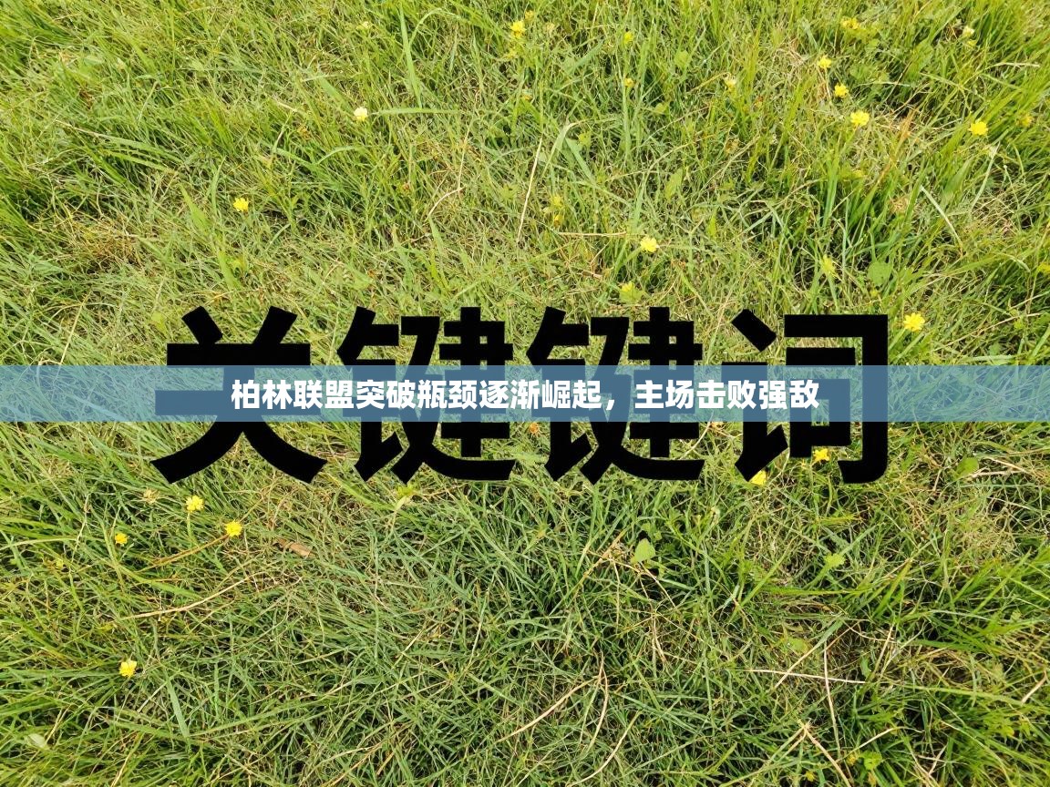 柏林联盟突破瓶颈逐渐崛起,主场击败强敌 第2张